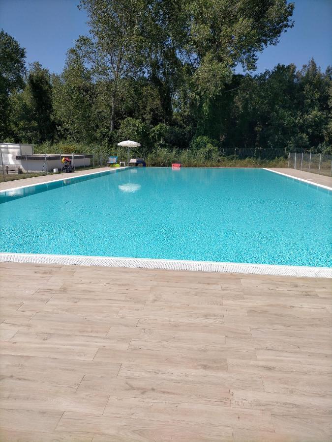 Seaside Flat With Swimming Pool And Private Parking Διαμέρισμα Calambrone Εξωτερικό φωτογραφία